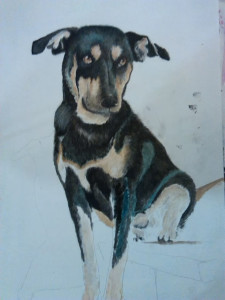 ritratto-03