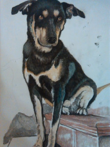 ritratto-04