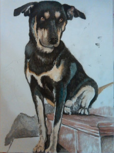 ritratto-05