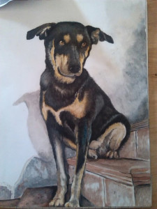 ritratto-08