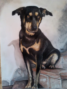 Ritratto di cane - Olio su cartoncino