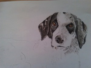 Ritratto di cane - Olio su cartoncino Dog portrait - Oil on water paper