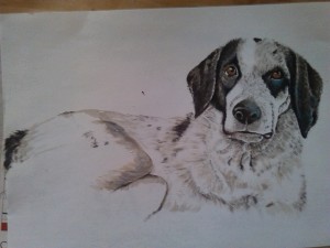ritratto-cane3