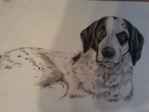 ritratto-cane4