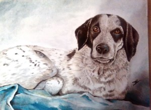 ritratto-cane5